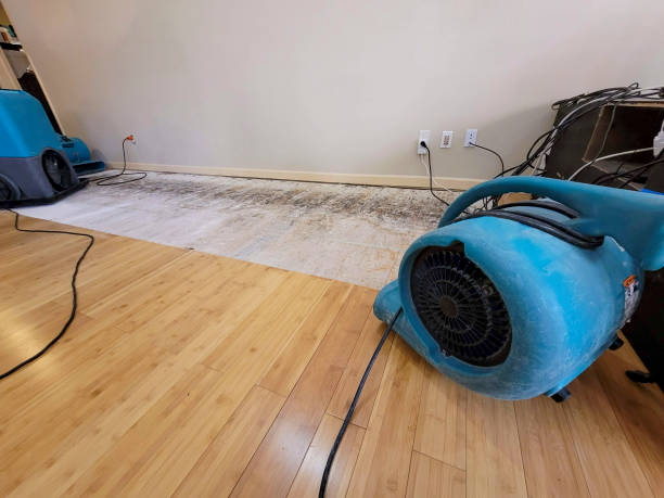 Professional Water Damage Repair technician working in Strafford, NH
